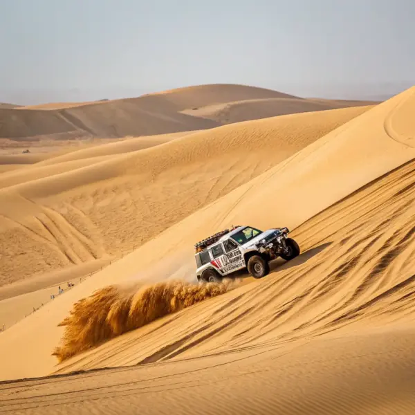 Desert Safari Adventure